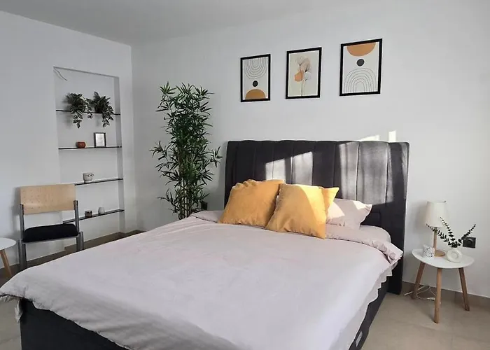 Tamy * 克拉古耶瓦茨